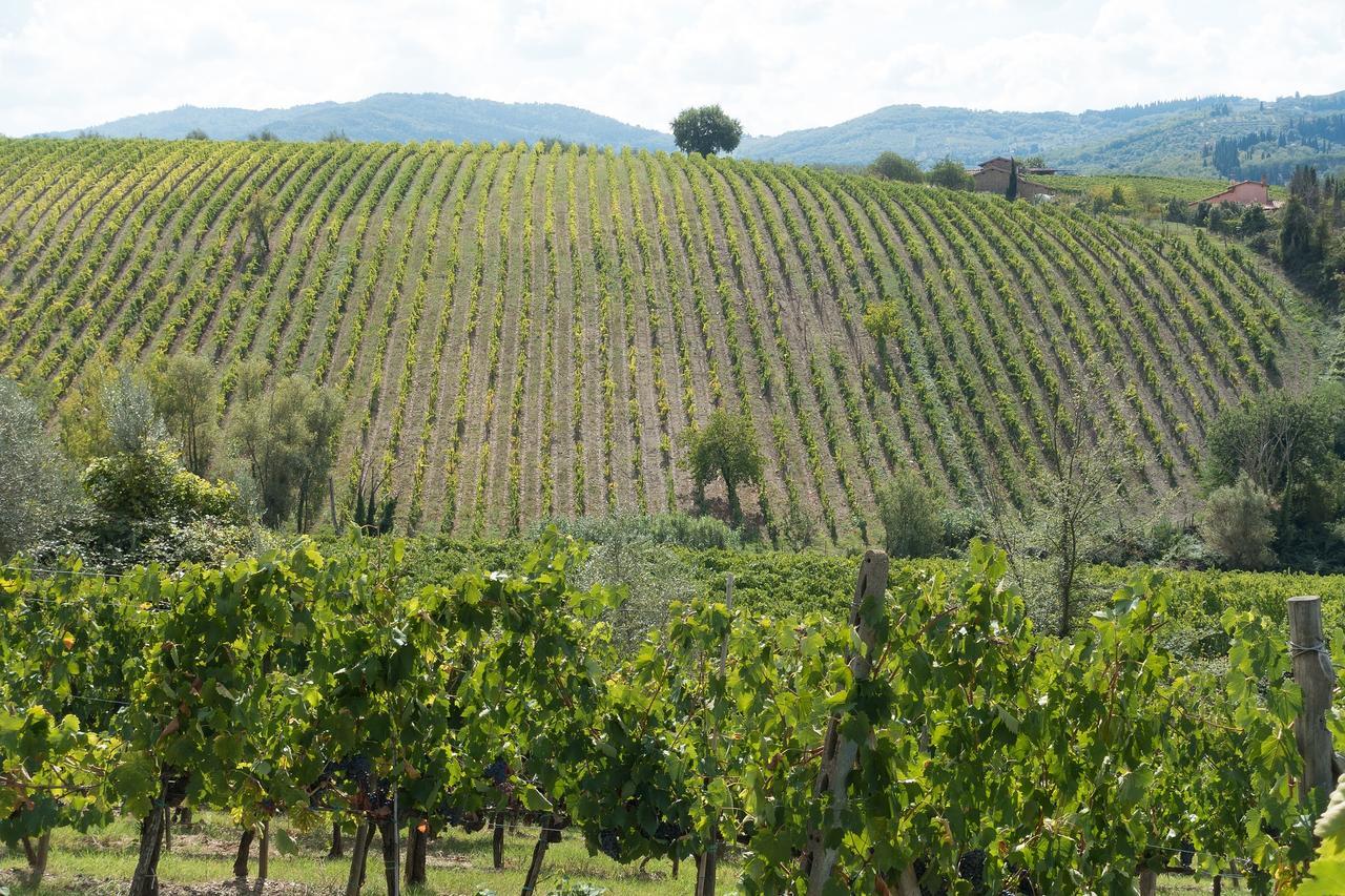Appartamento Casa Simona San Gimignano Esterno foto